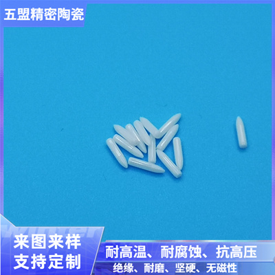 氧化锆陶瓷定位针